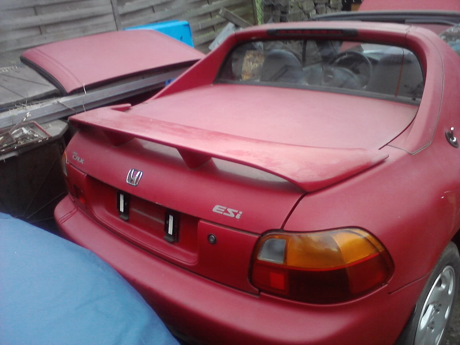P081012_18.25_[01].jpg