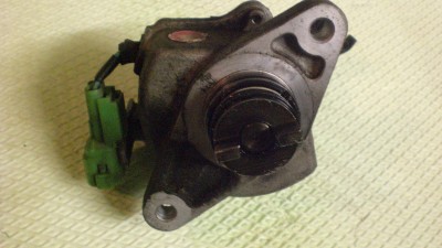 CIMG5203.JPG