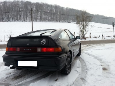 CRX 1.jpg