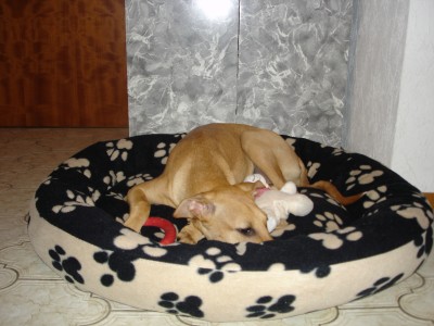 DSC00020.JPG