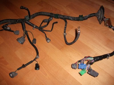 DSCF1453.JPG