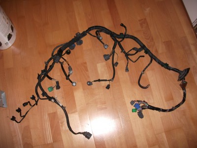 DSCF1454.JPG