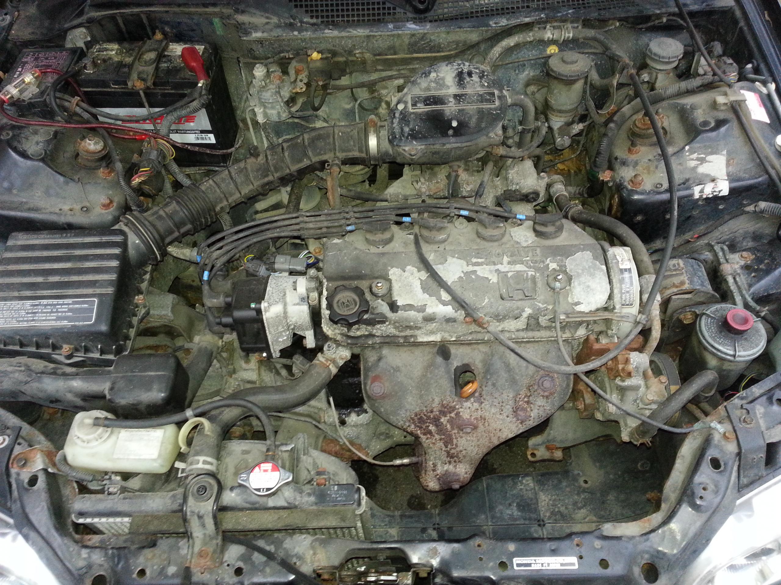 20130203_162012.jpg