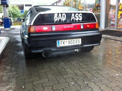 crx ed.jpg