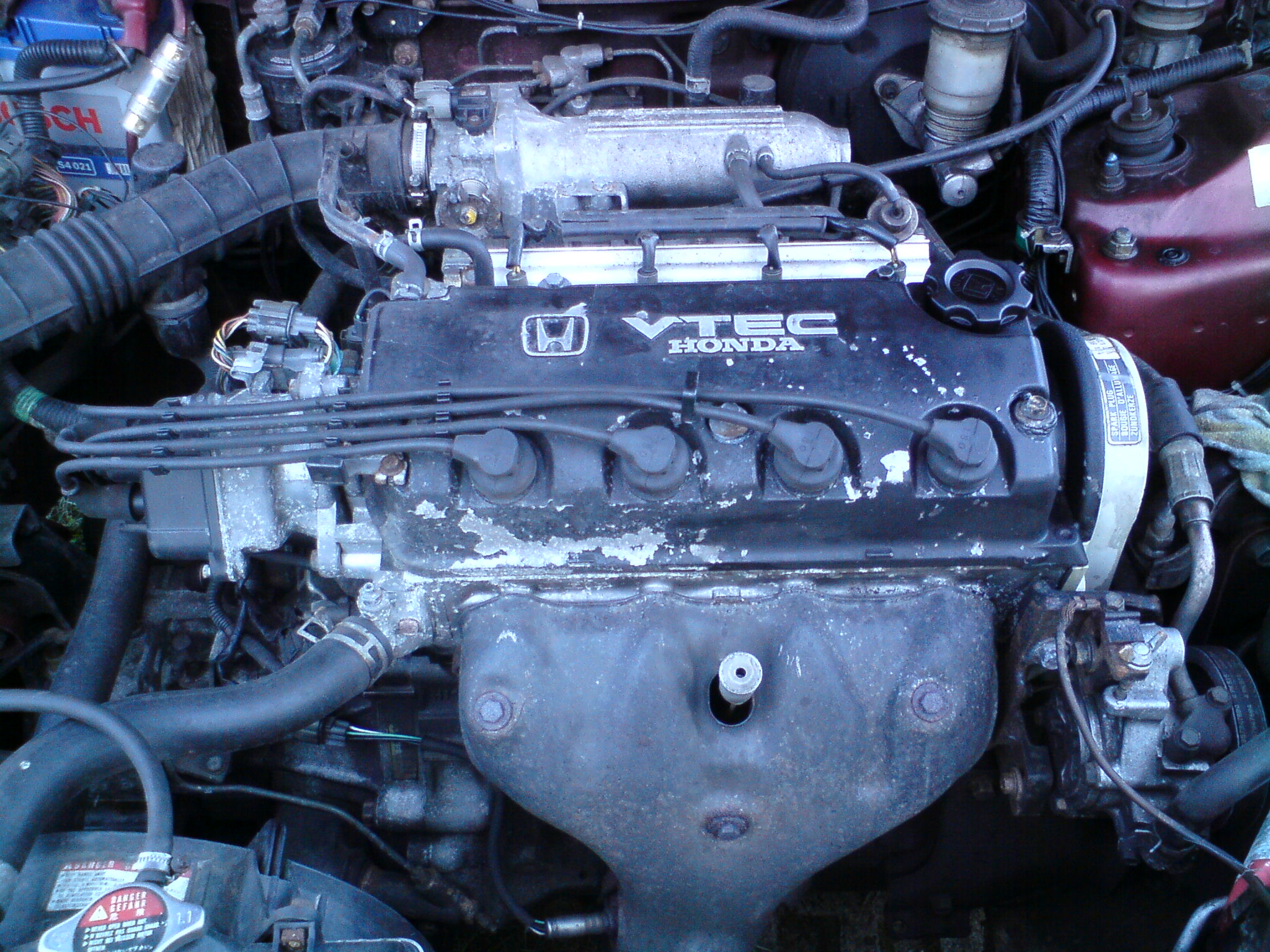 DSC00364.JPG