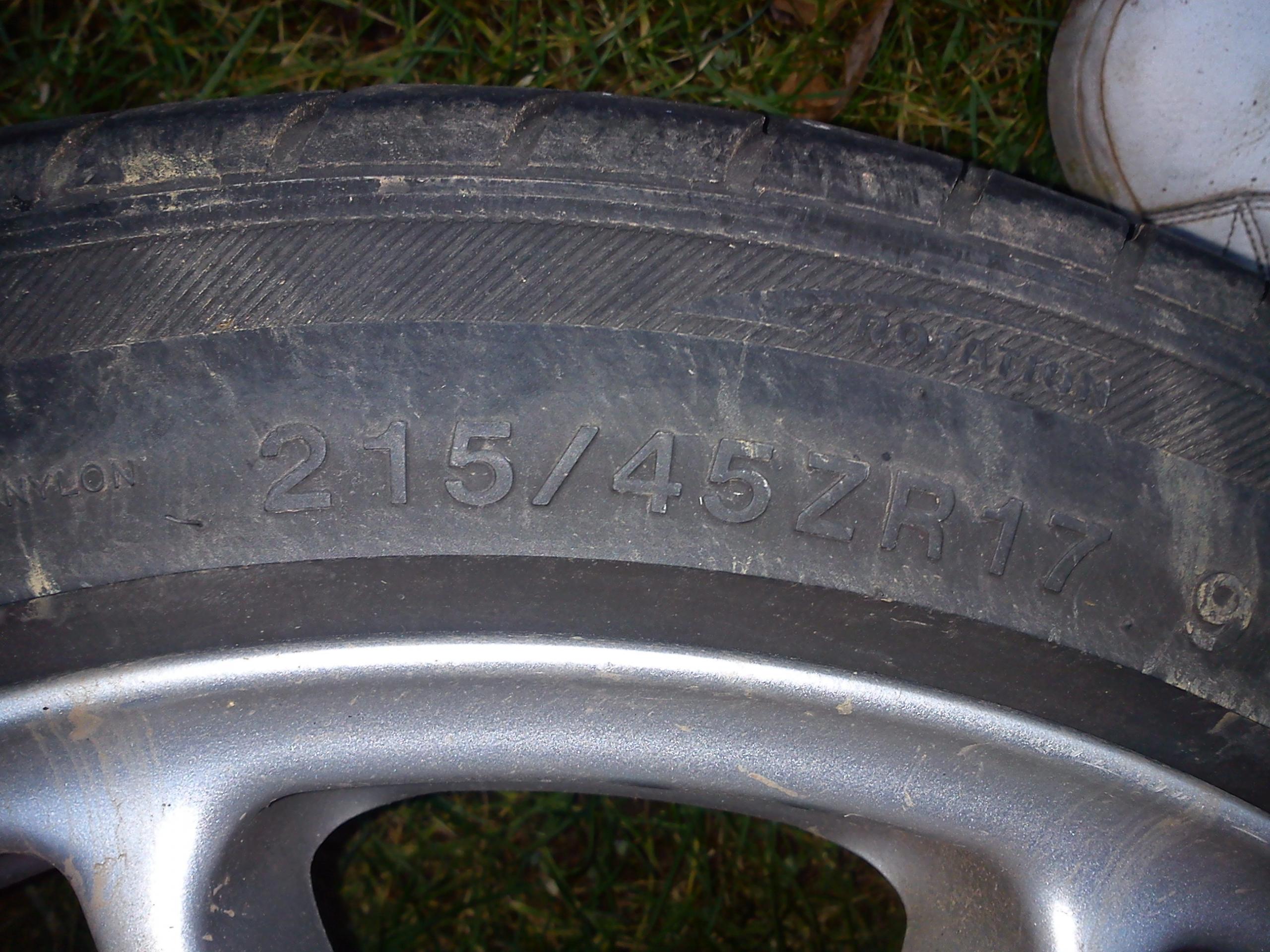 IMG_20130220_172240.jpg
