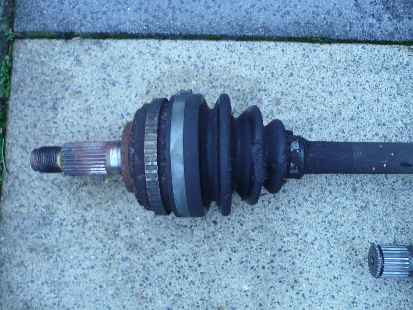 P1130989.JPG