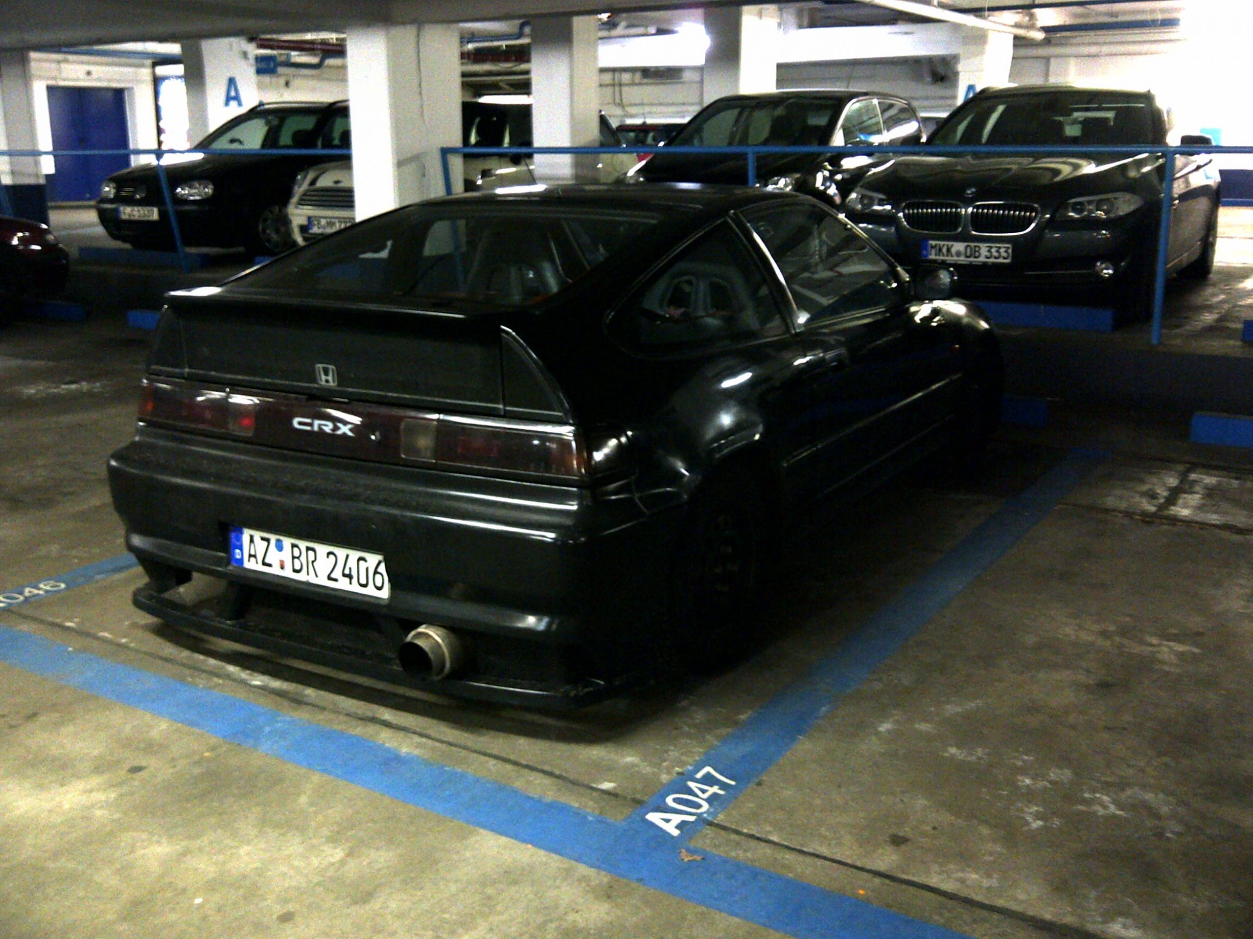 Rex_HondaTuningLove.jpg