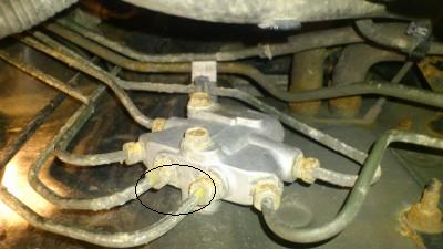 t_dsc_10821.JPG