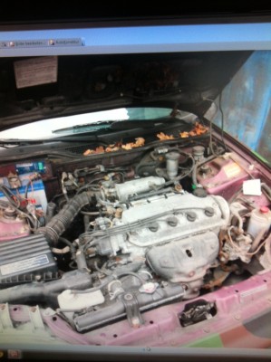 image777.jpeg