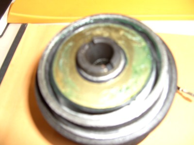 PICT0738.JPG