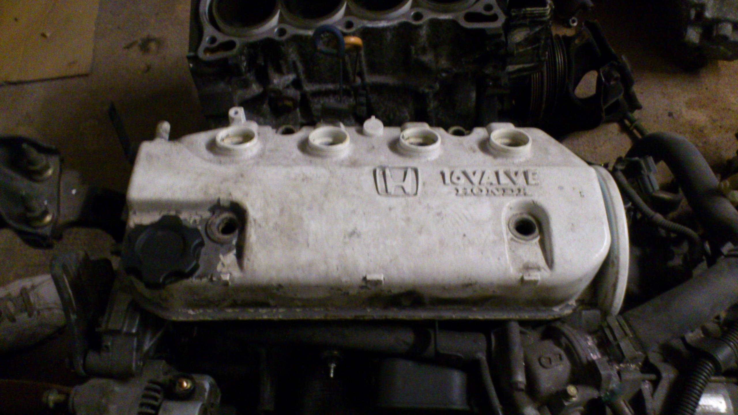DSC_0042.jpg