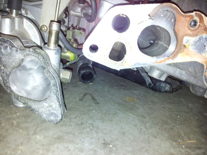 IMG-20130213-WA0006.jpg