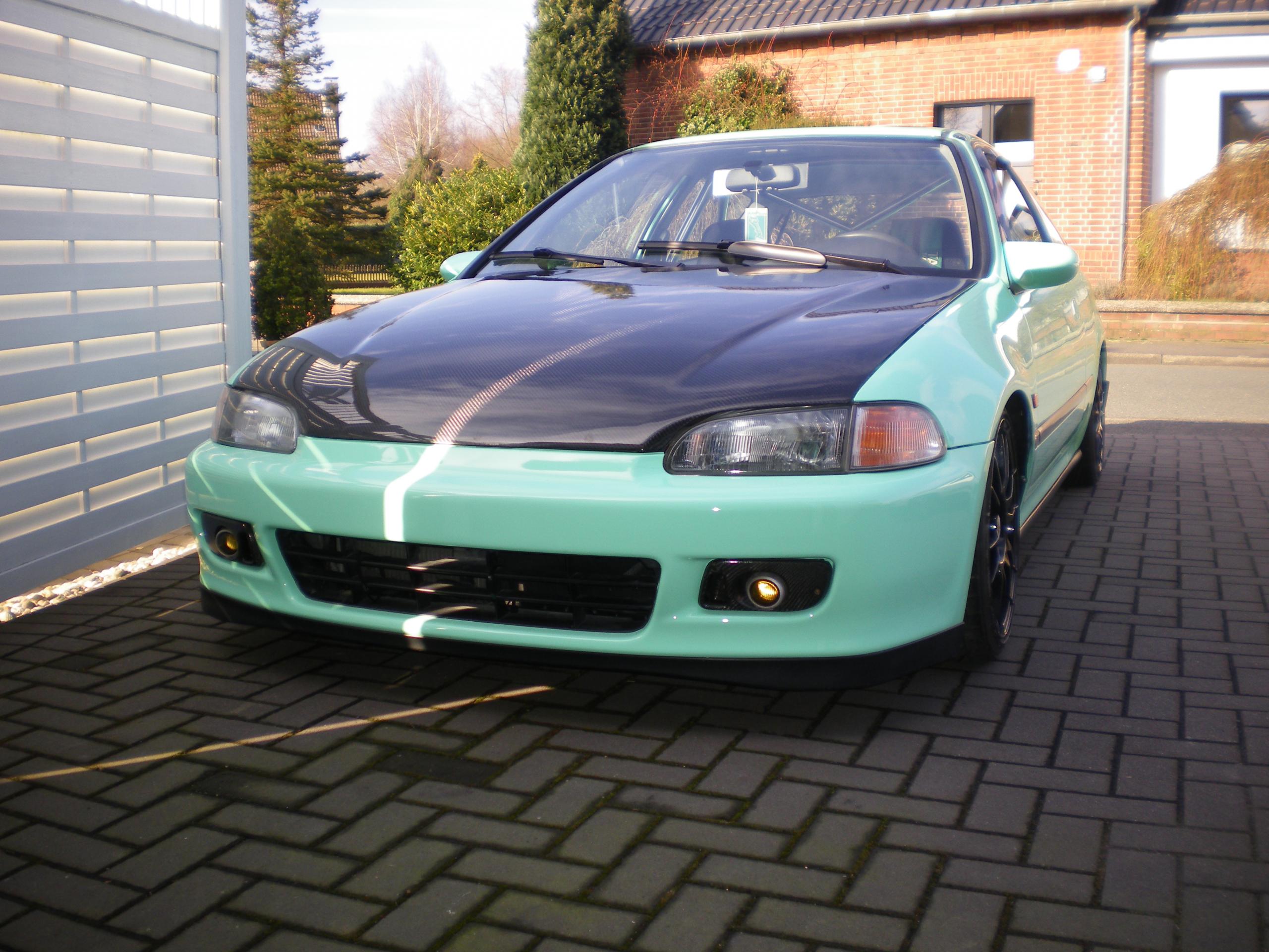 IMGP3404.JPG