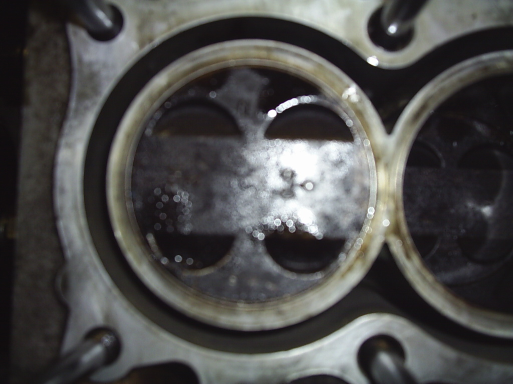 S2020331.JPG
