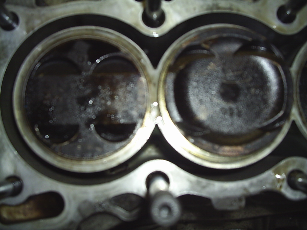 S2020332.JPG