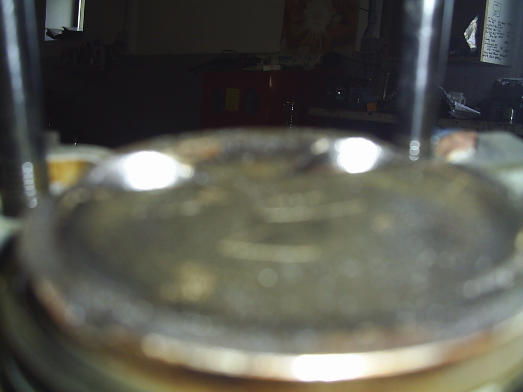 S2020333.JPG