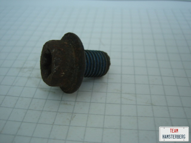 schraube_tx_50_10x1-25_14_1.jpg