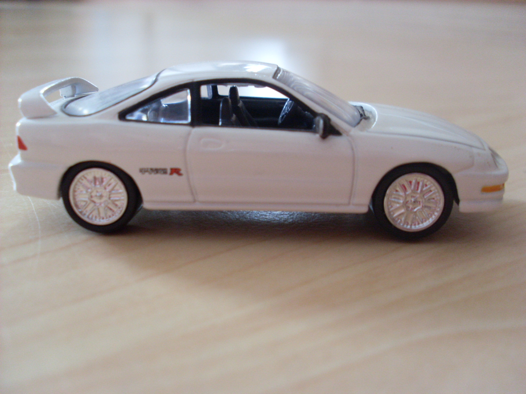 SL383903.JPG