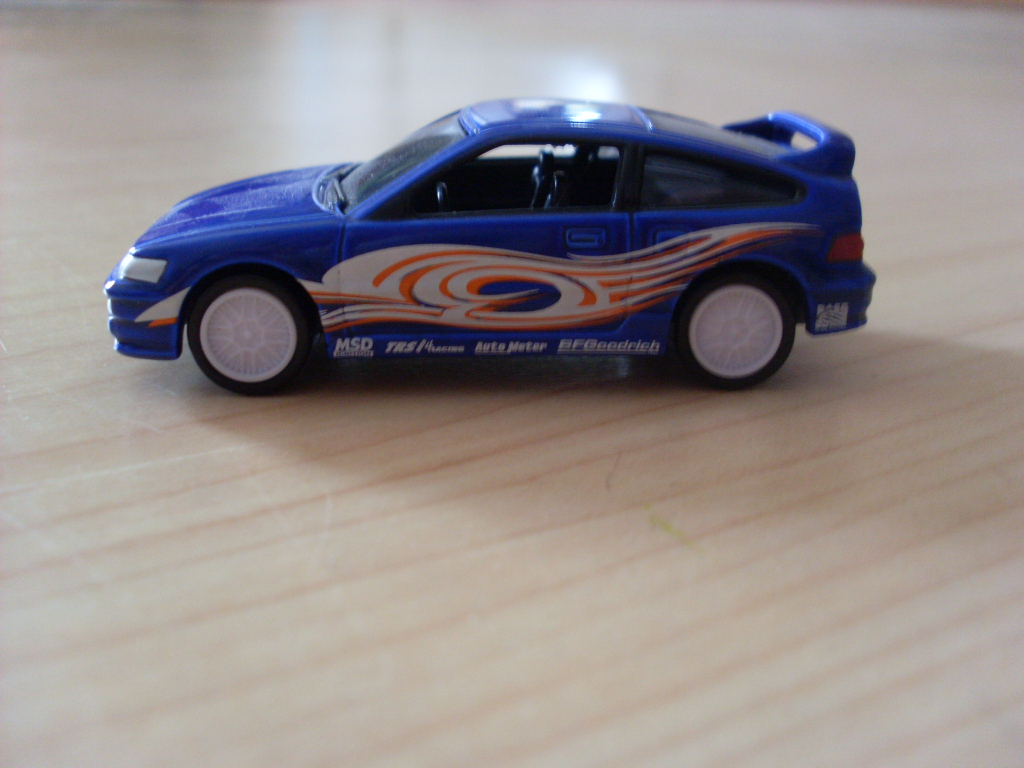 SL383907.JPG
