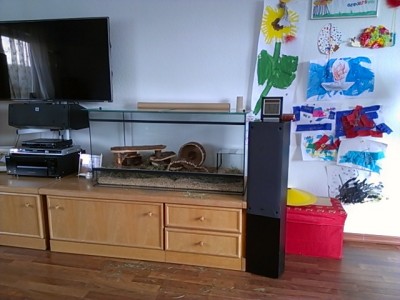 2013-03-22 15.03.12.jpg