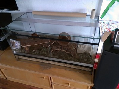 2013-03-22 15.05.27.jpg