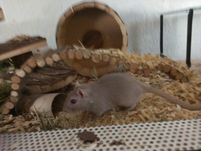 2013-03-22 17.36.15.jpg