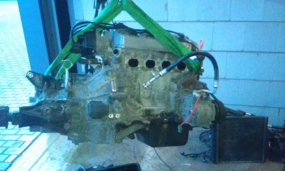 IMAG0246.jpg