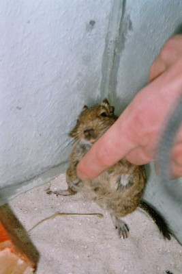 K1600_imm032_33.JPG