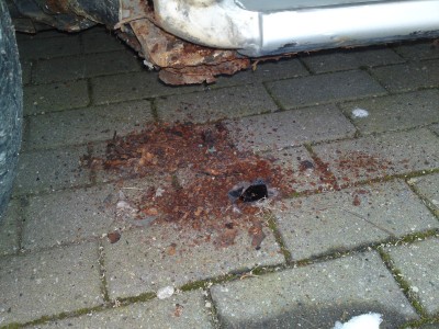Rost3.JPG