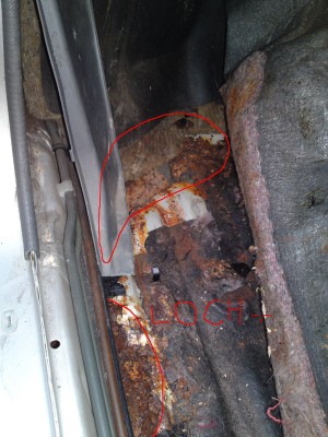 ROST 2.JPG