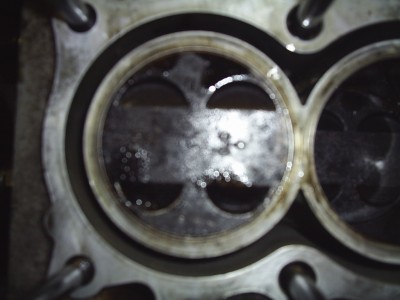 S2020331.JPG