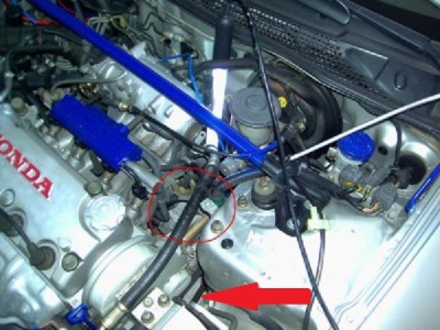 t_pic01432.jpg
