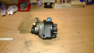 WP_20130320_010.jpg