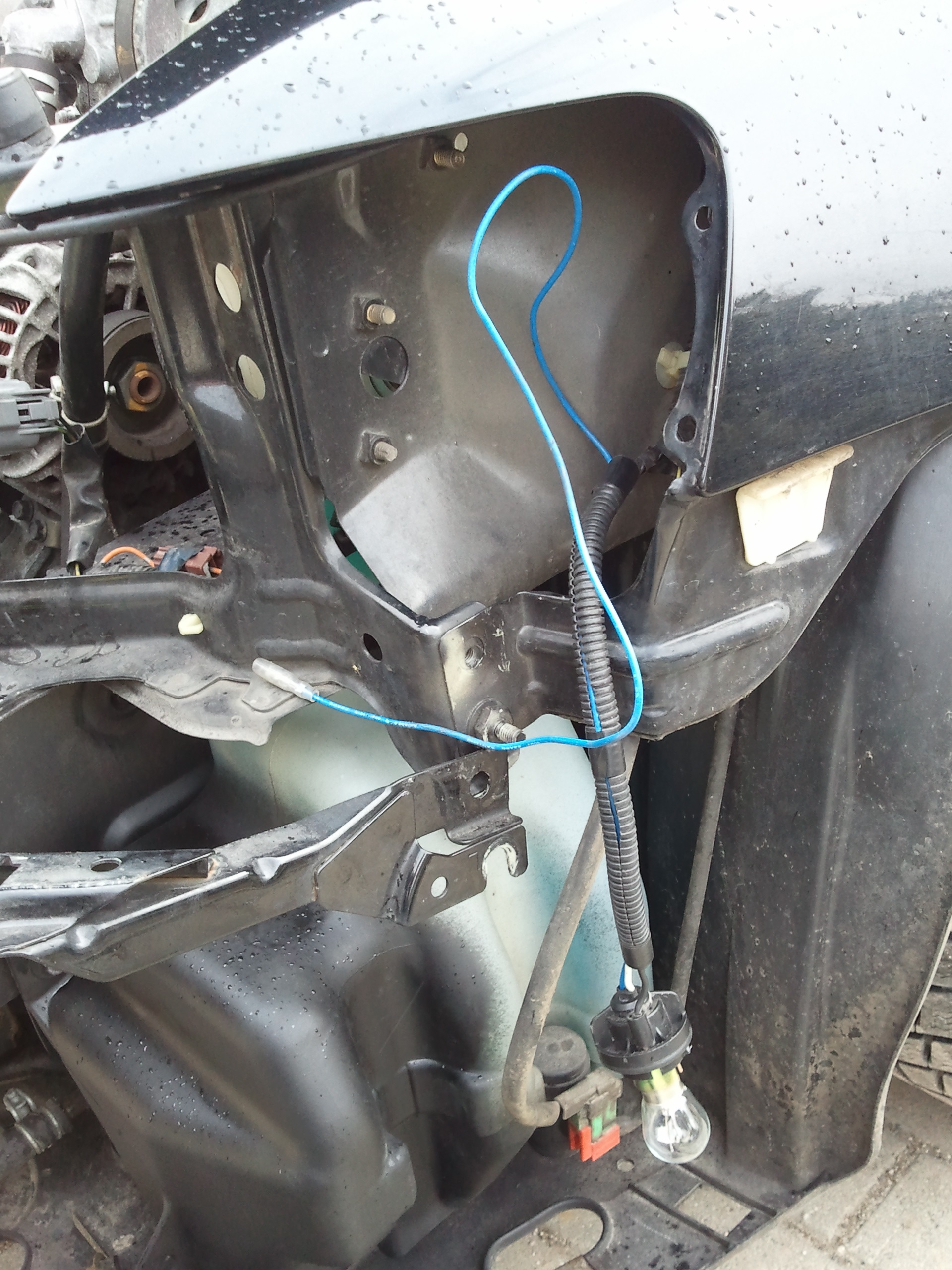 20130410_115505.jpg