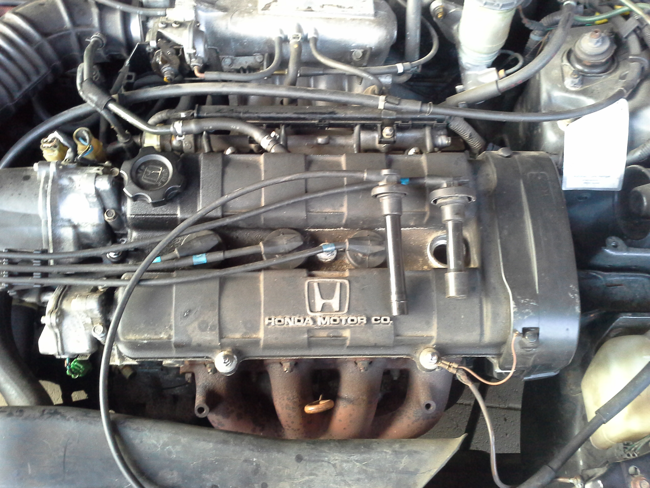 20130422_191340.jpg