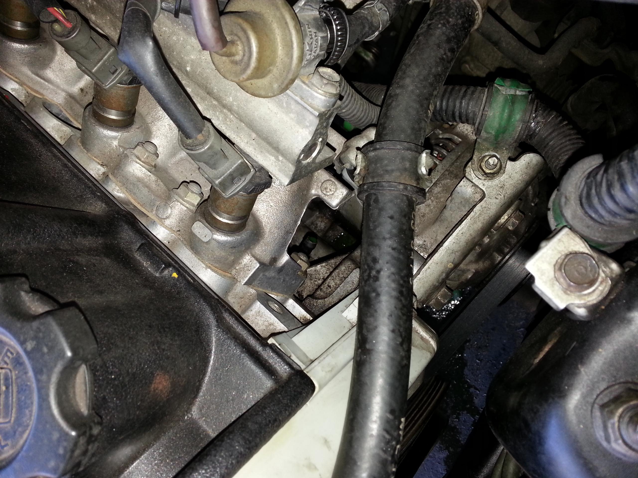 20130428_115617.jpg
