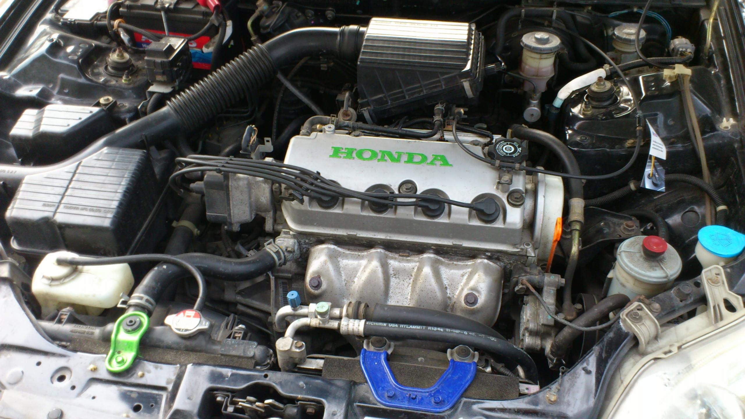 DSC_0643.jpg