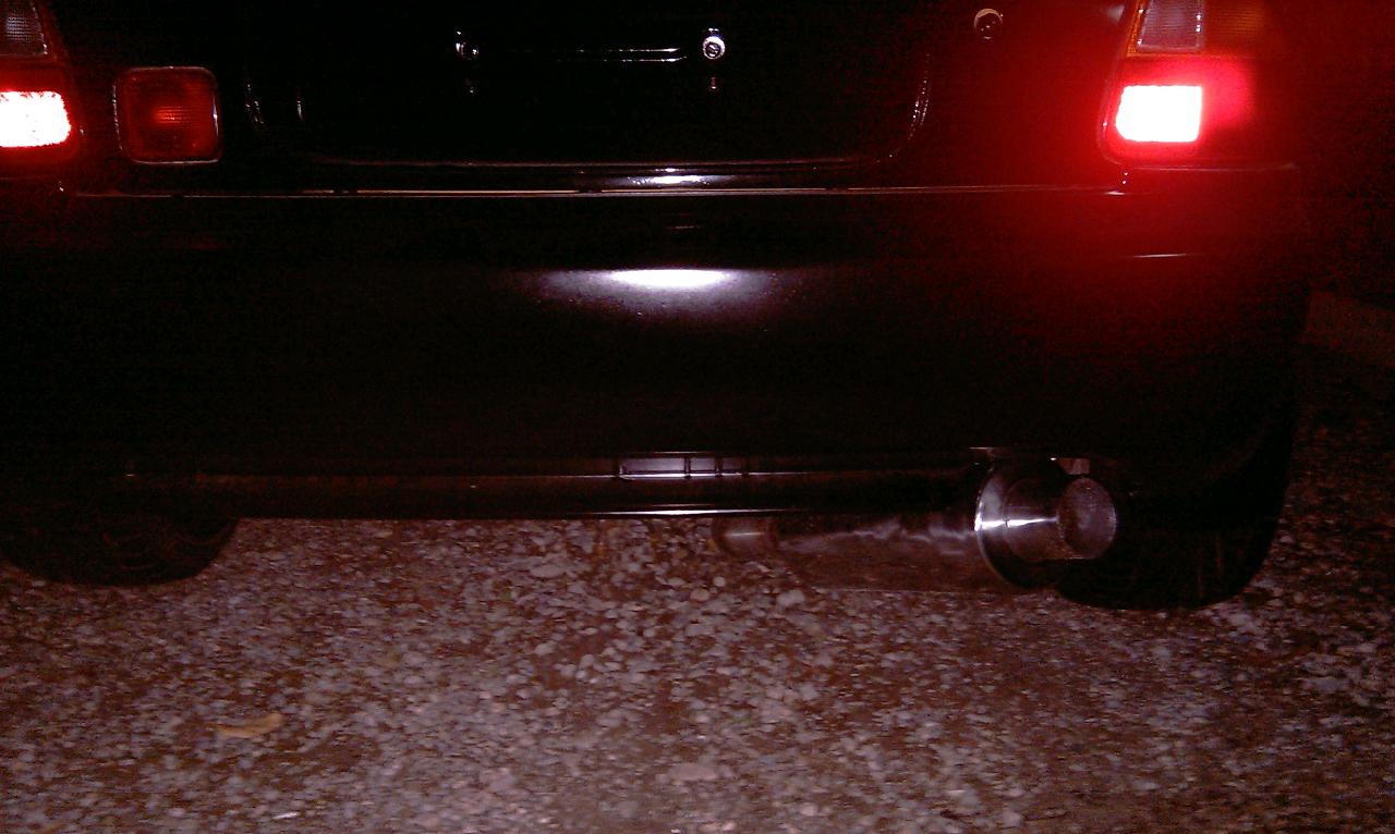IMAG0197.jpg