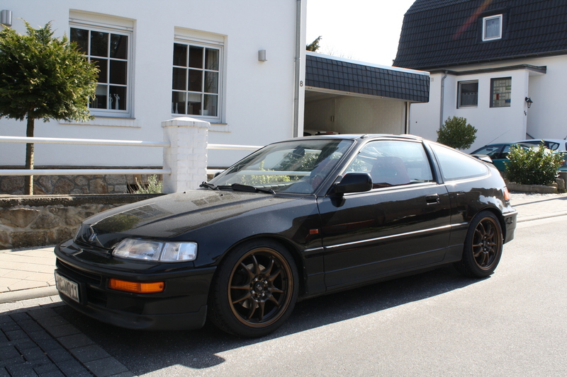 img8901v.jpg