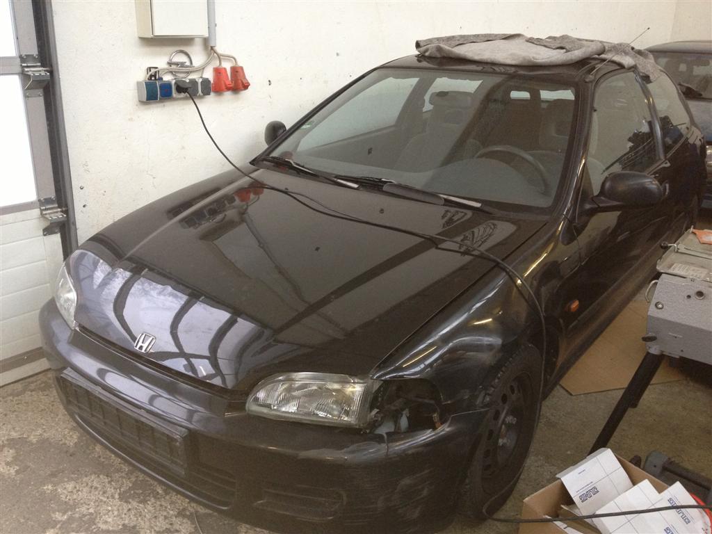 IMG_2529 (Large).jpg