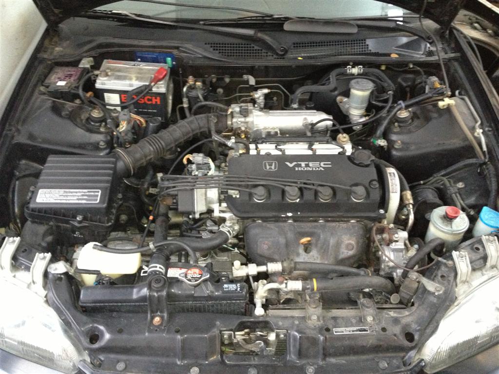 IMG_2530 (Large).jpg