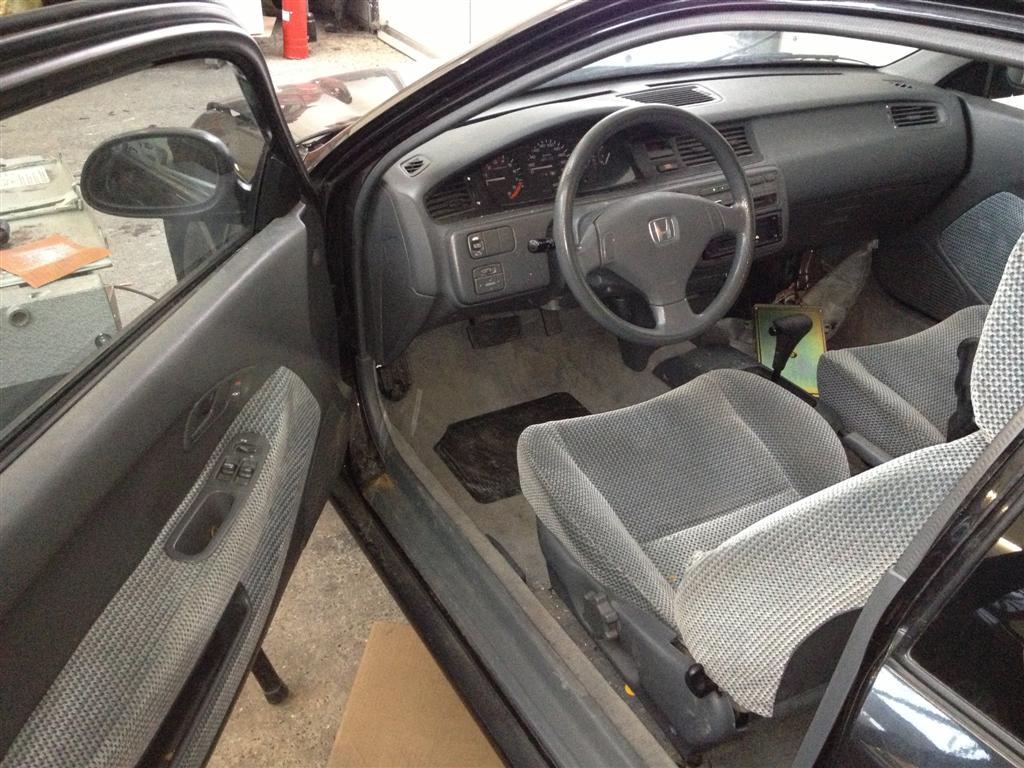 IMG_2531 (Large).jpg