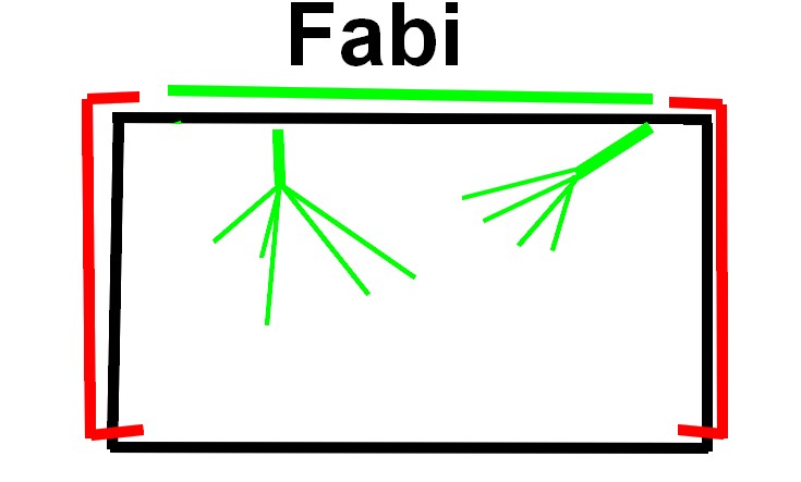 motor_fabi.jpg