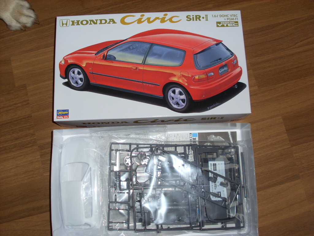 SL383966.JPG