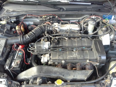 20130422_191302.jpg