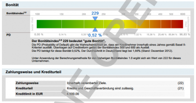 2013-04-12 13_02_59-Selbstauskunft_503.0639305_4449925116782410208-3.pdf.png