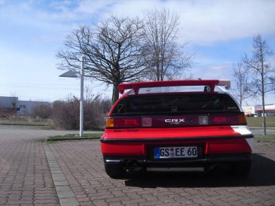 CIMG8144.JPG