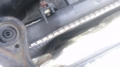 IMAG0220.jpg