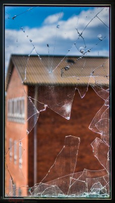 IMG_8510.jpg